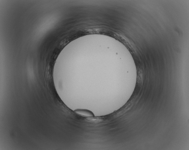 X0000116290477200912291416