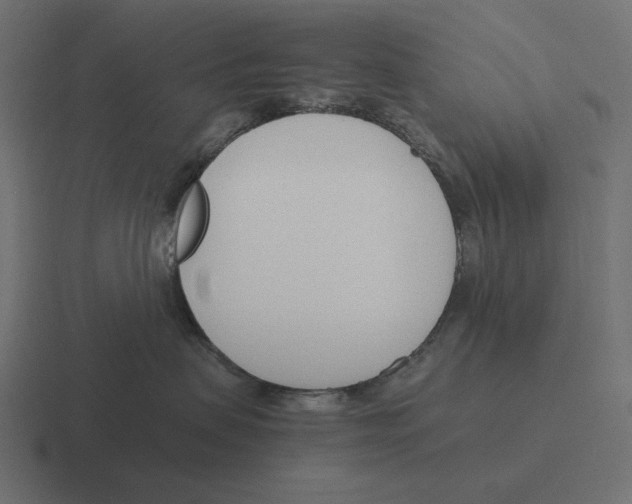 X0000116290479200912291416