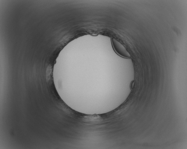 X0000116290480200912291416