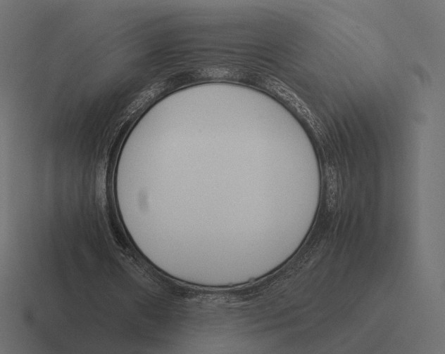 X0000116290482200912291415