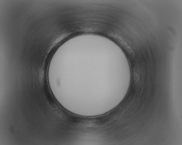 X0000116290488200912291415