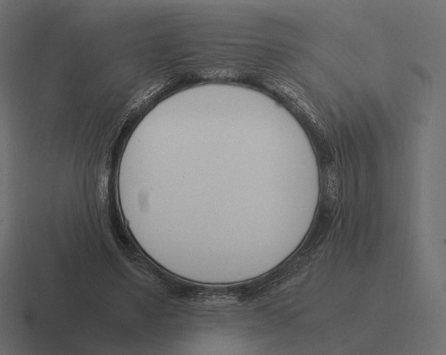 X0000116290491200912291415