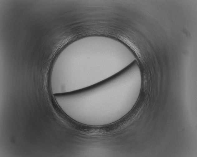 X0000116290493200912291415