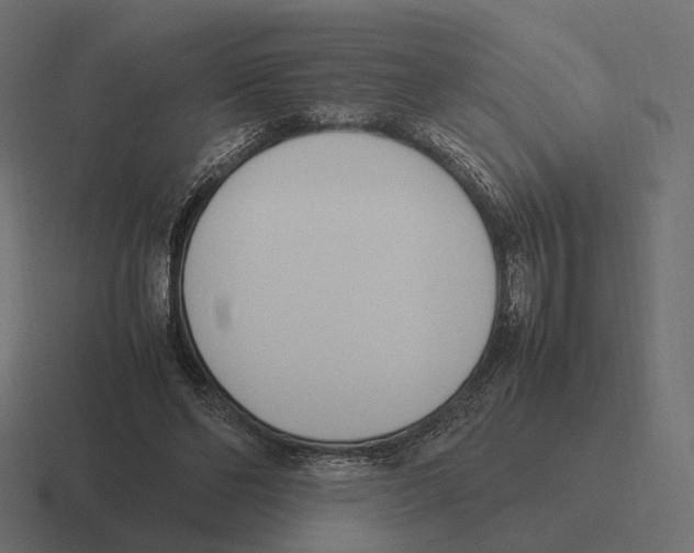 X0000116290494200912291415