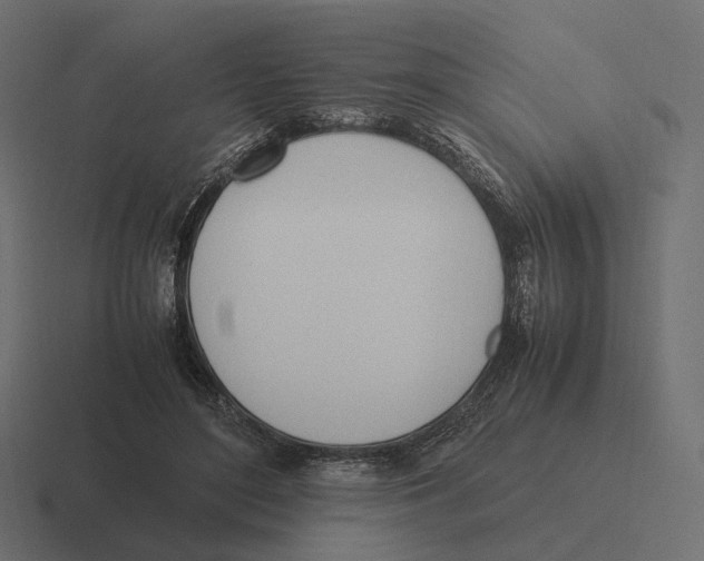 X0000116290500200912291415