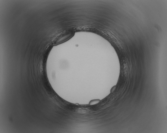 X0000116290508200912291415