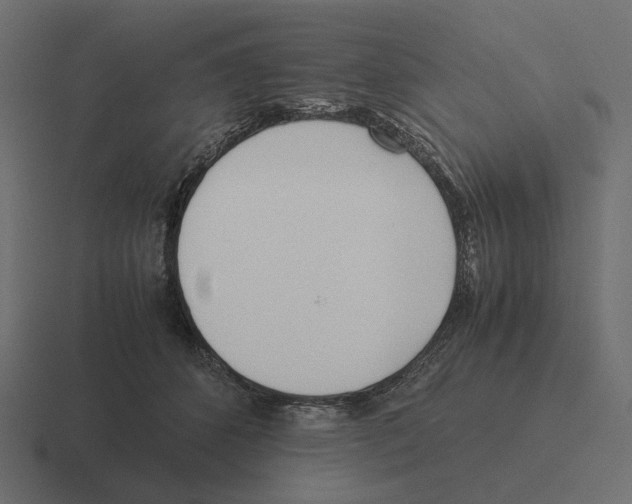 X0000116290512200912291415