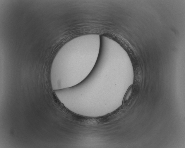 X0000116290513200912291415