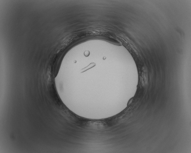 X0000116290520200912291415