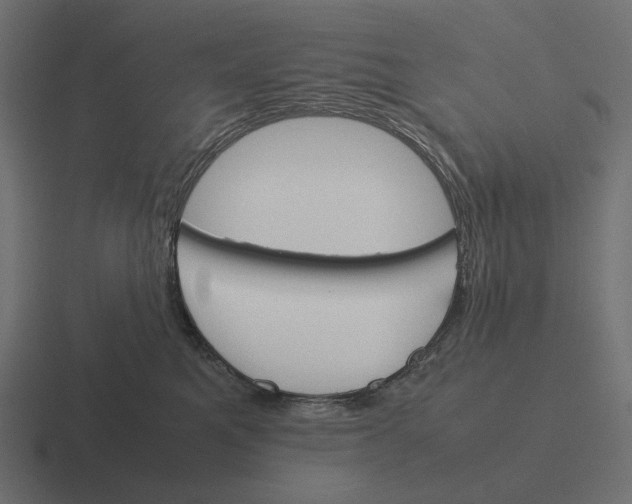 X0000116290521200912291415