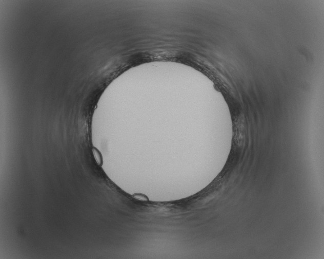 X0000116290523200912291415