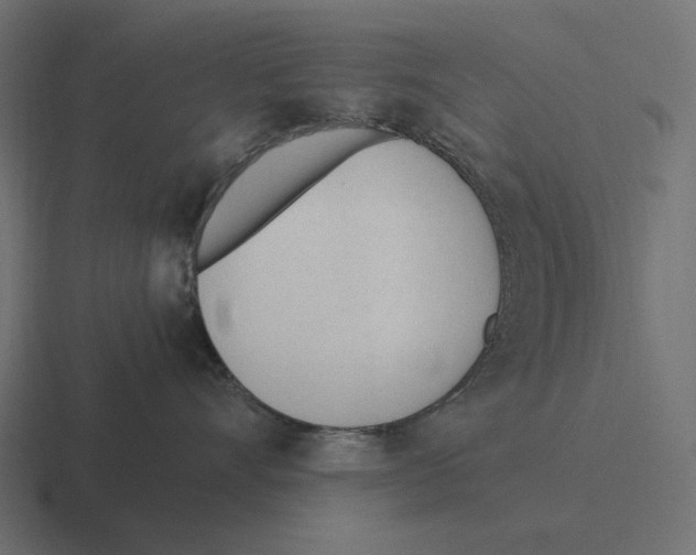 X0000116290528200912291415