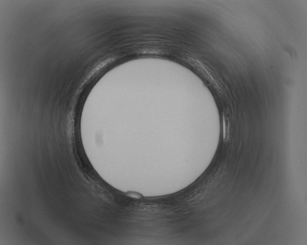 X0000116290531200912291414