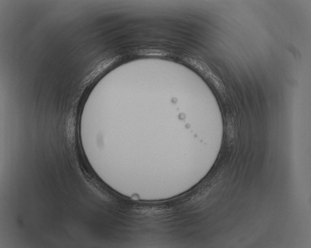 X0000116290533200912291414