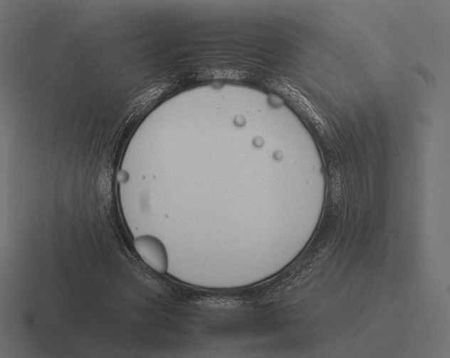 X0000116290537200912291414