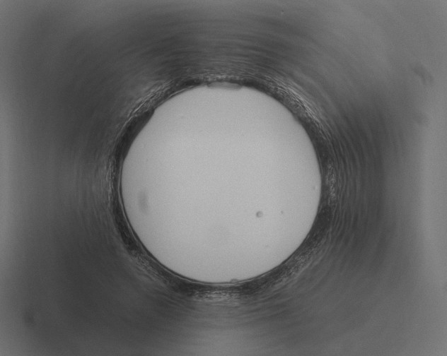 X0000116290546200912291414