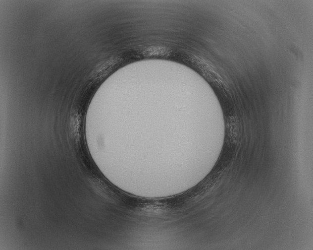 X0000116290550200912291414