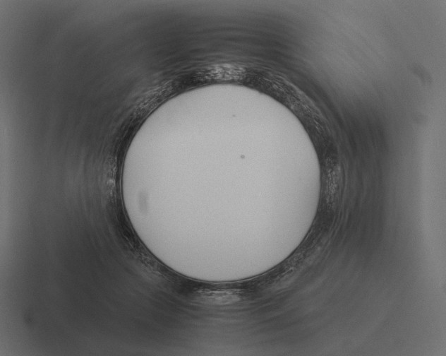 X0000116290553200912291414