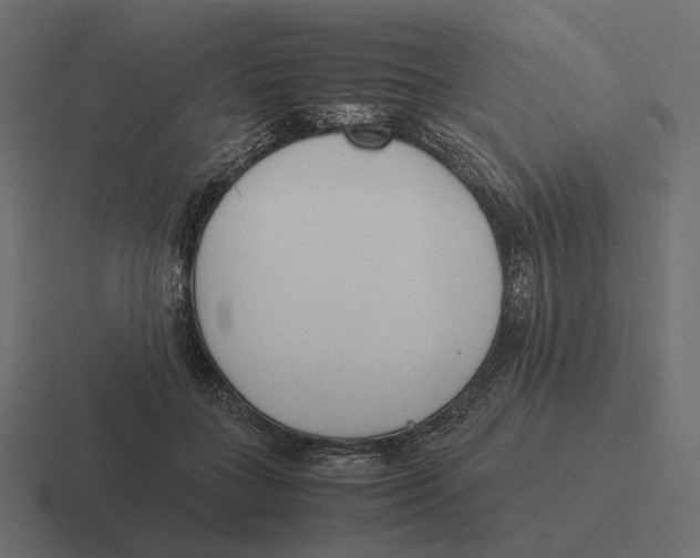 X0000116290555200912291414