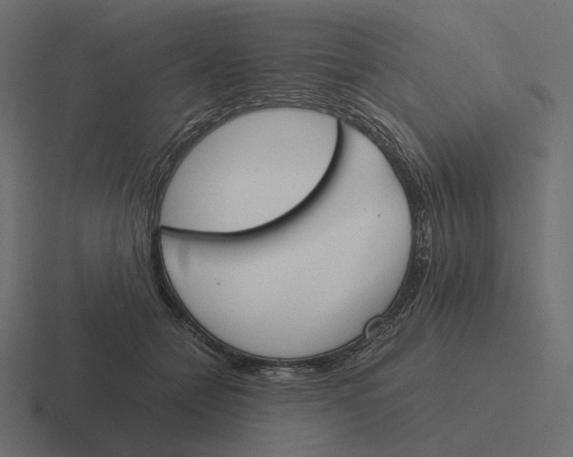 X0000116290558200912291414