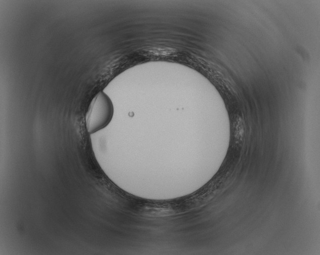 X0000116290559200912291414