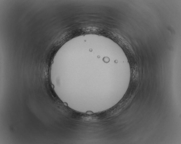 X0000116290561200912291414