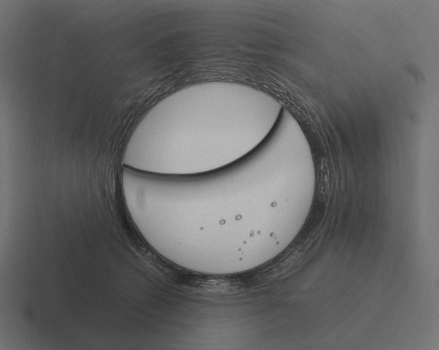 X0000116290562200912291414