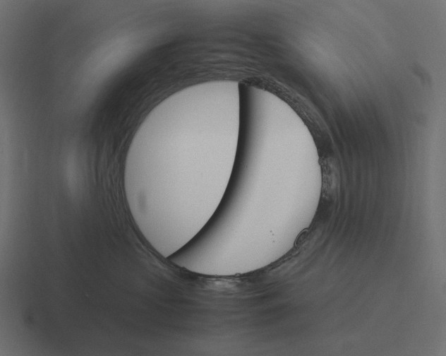 X0000116290573200912291414