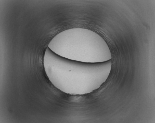 X0000116290575200912291414