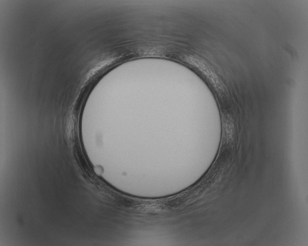 X0000116290583200912291414