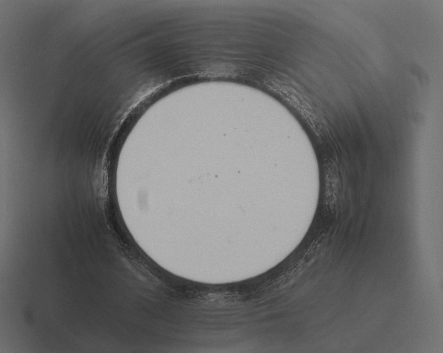 X0000116290584200912291414