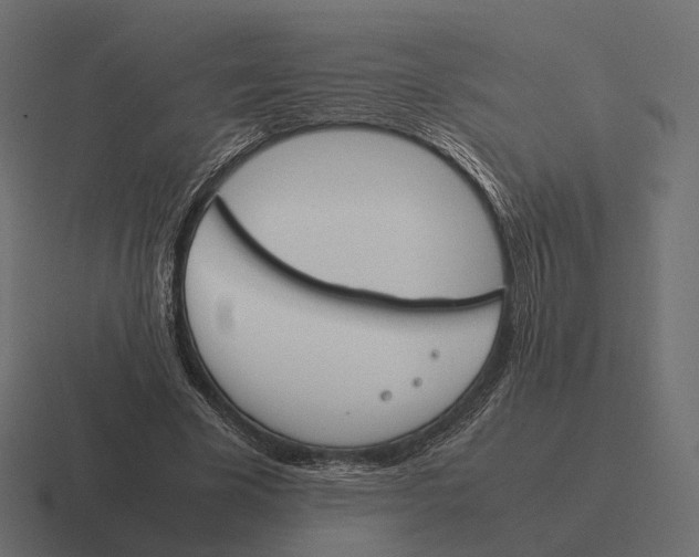 X0000116290585200912291414