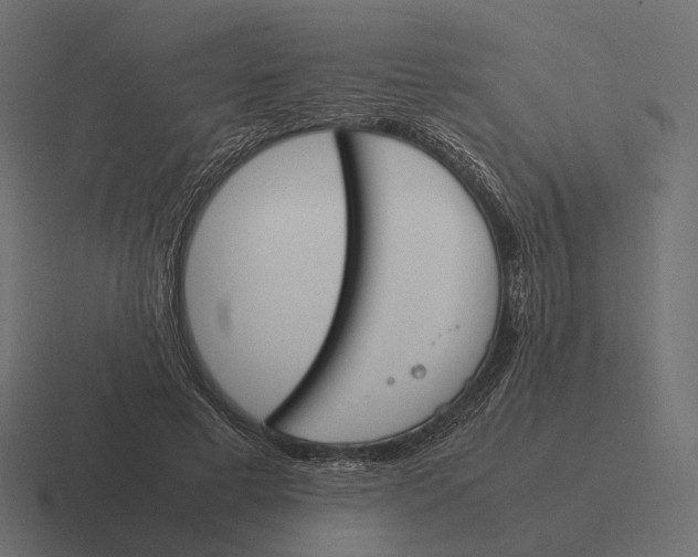 X0000116290593200912291414