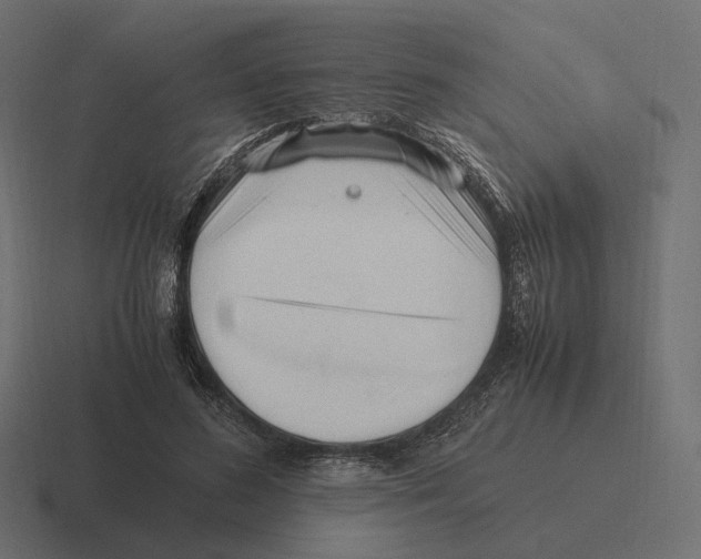 X0000116290596200912291414