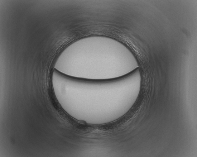 X0000116290597200912291414