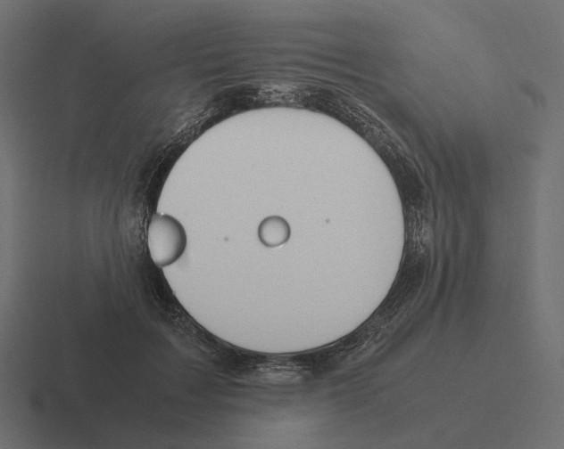 X0000116290603200912291414