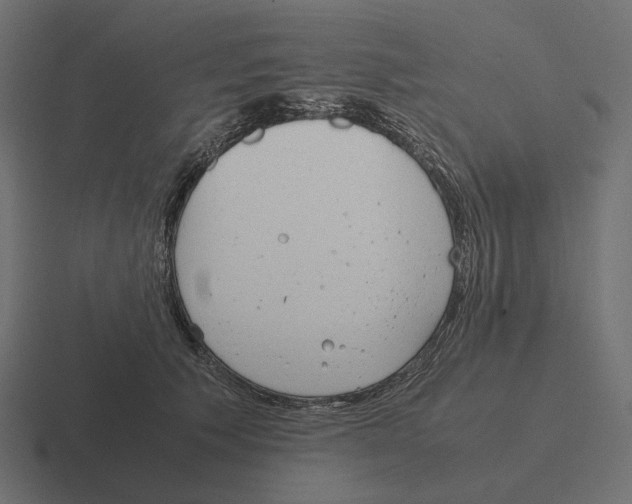 X0000116290609200912291414