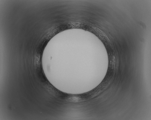 X0000116290610200912291413