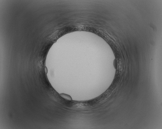 X0000116290611200912291413