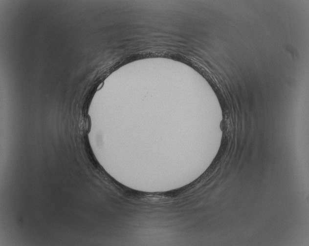 X0000116290617200912291413