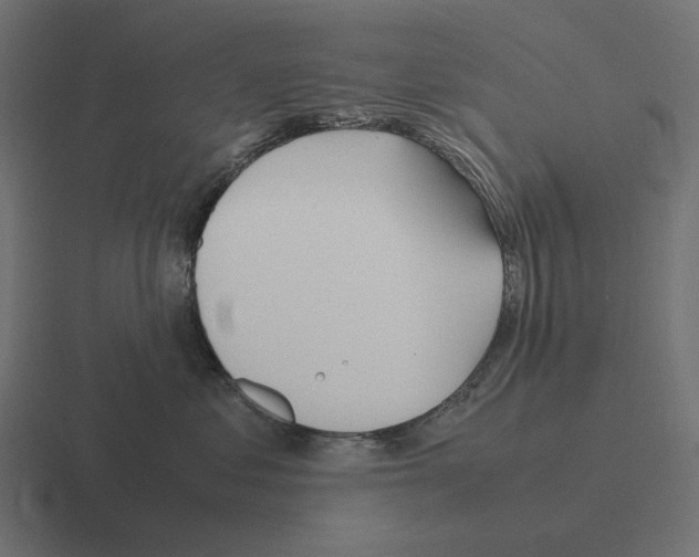 X0000116290621200912291413