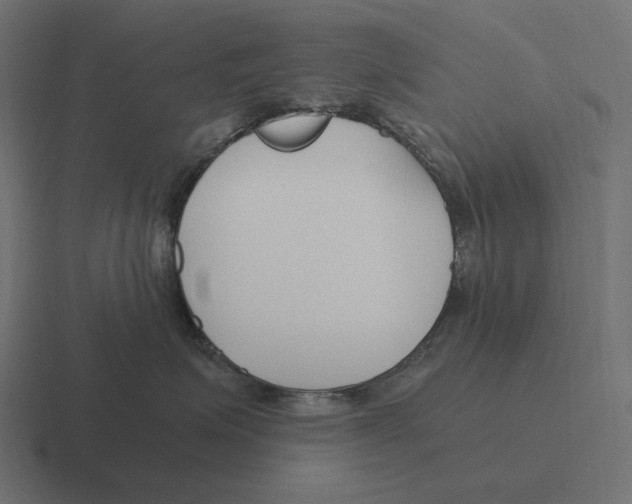 X0000116290623200912291413