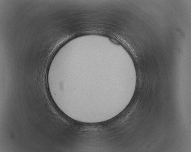 X0000116290625200912291413