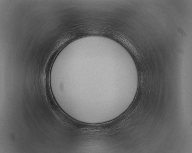 X0000116290626200912291413