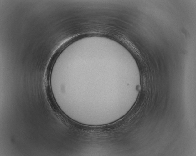 X0000116290628200912291413