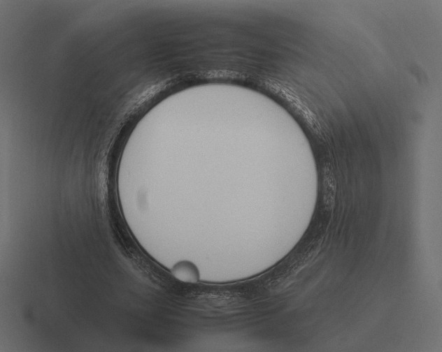 X0000116290631200912291413