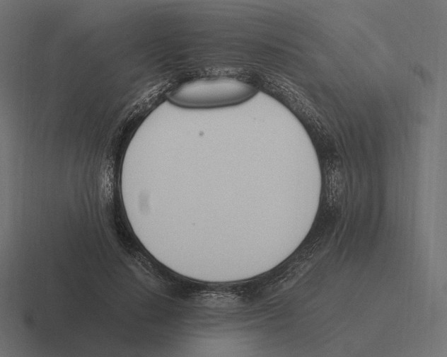 X0000116290644200912291413