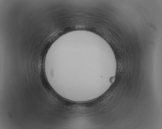 X0000116290648200912291413