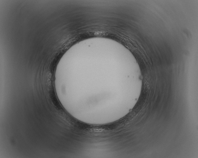 X0000116290650200912291413