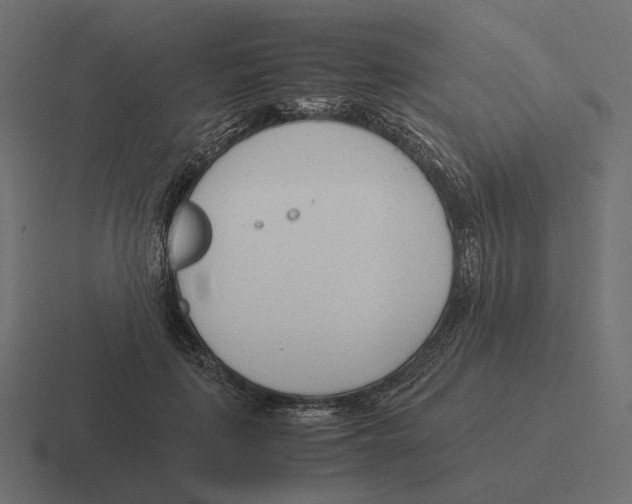 X0000116290651200912291413